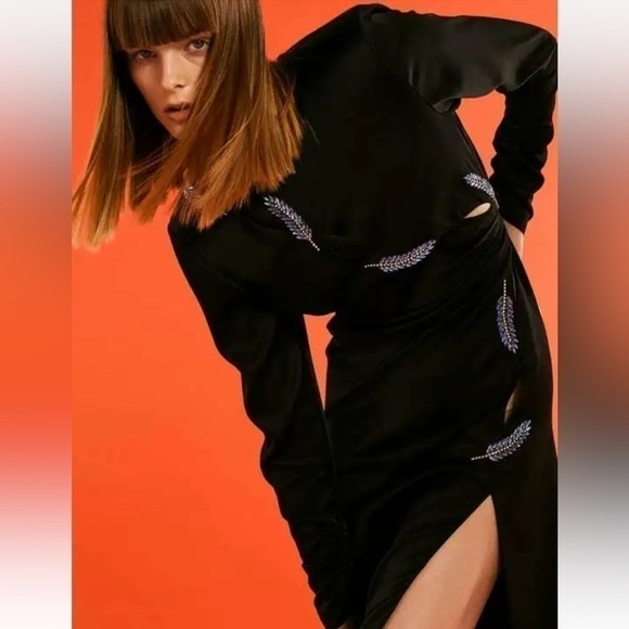 ZARA BNWOT satin effect dress with leaf - Picture 6 of 16